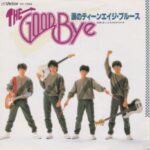 涙のティーンエイジ・ブルース　The Good Bye