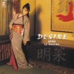 DESIRE -情熱-　中森明菜