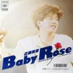 Baby Rose　近藤真彦