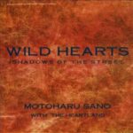 WILD HEARTS -冒険者たち-　佐野元春 WITH THE HEARTLAND