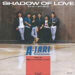 SHADOW OF LOVE　A-JARI