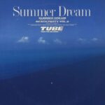 SUMMER DREAM（12インチ）　TUBE