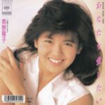 あなたを愛したい　南野陽子