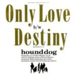 Only Love　HOUND DOG