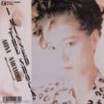 I MISSED"THE SHOCK"　中森明菜