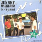 すてきな夜空　JUN SKY WALKER(S)