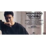 15の好奇心　HOUND DOG