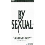 SO BAD BOY　BY-SEXUAL