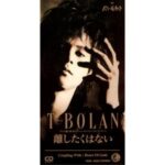 離したくはない　T-BOLAN