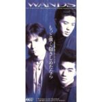 もっと強く抱きしめたなら　WANDS