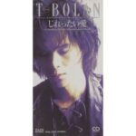 じれったい愛　T-BOLAN