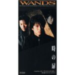 時の扉　WANDS