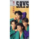 曇りのち晴れ　SAY・S