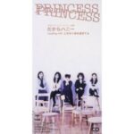 だからハニー　PRINCESS PRINCESS