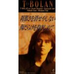 刹那さを消せやしない　T-BOLAN