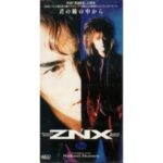 君の瞳の中から　ZNX