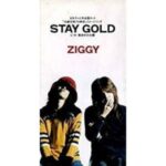 STAY GOLD　ZIGGY