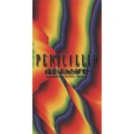 夜をぶっとばせ　PENICILLIN