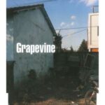 スロウ　GRAPEVINE