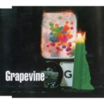 光について　GRAPEVINE