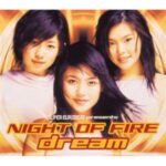 NIGHT OF FIRE　dream