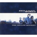 BRILLIANT WORLD　THE YELLOW MONKEY